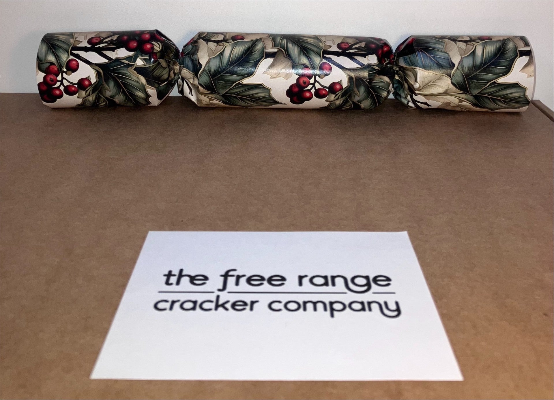 Cracker Craft Kit Set 1